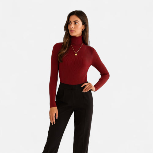Slim Fit Long Sleeve Ribbed Turtleneck Sweater