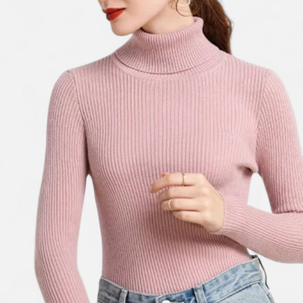 Slim Fit Long Sleeve Ribbed Turtleneck Sweater