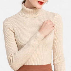Slim Fit Long Sleeve Ribbed Turtleneck Sweater