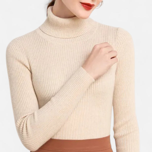 Slim Fit Long Sleeve Ribbed Turtleneck Sweater