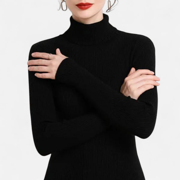 Slim Fit Long Sleeve Ribbed Turtleneck Sweater