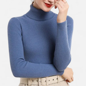Slim Fit Long Sleeve Ribbed Turtleneck Sweater
