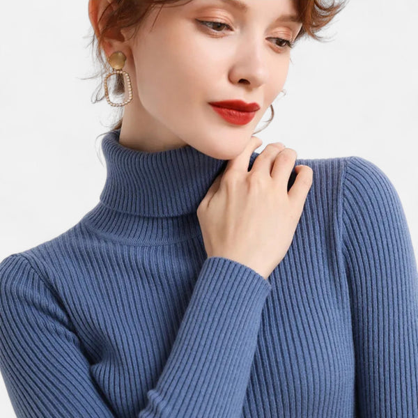 Slim Fit Long Sleeve Ribbed Turtleneck Sweater