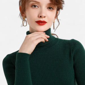 Slim Fit Long Sleeve Ribbed Turtleneck Sweater