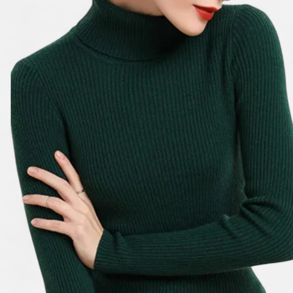 Slim Fit Long Sleeve Ribbed Turtleneck Sweater