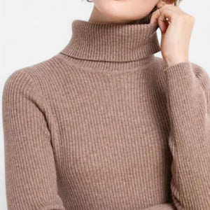 Slim Fit Long Sleeve Ribbed Turtleneck Sweater