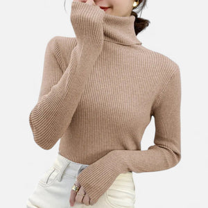 Slim Fit Long Sleeve Ribbed Turtleneck Sweater