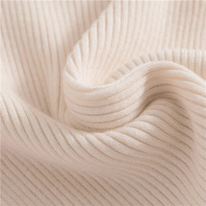 Slim Fit Long Sleeve Ribbed Turtleneck Sweater