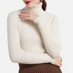 Slim Fit Long Sleeve Ribbed Turtleneck Sweater