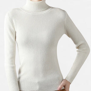 Slim Fit Long Sleeve Ribbed Turtleneck Sweater