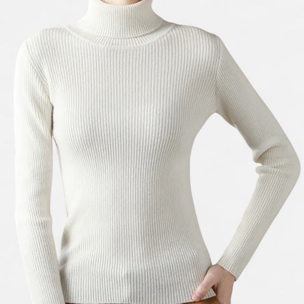 Slim Fit Long Sleeve Ribbed Turtleneck Sweater